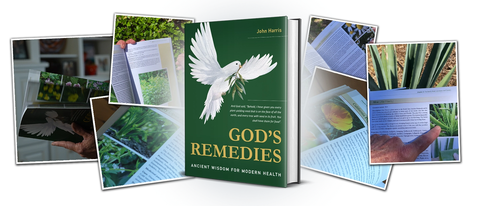 God's Remedies Purchase